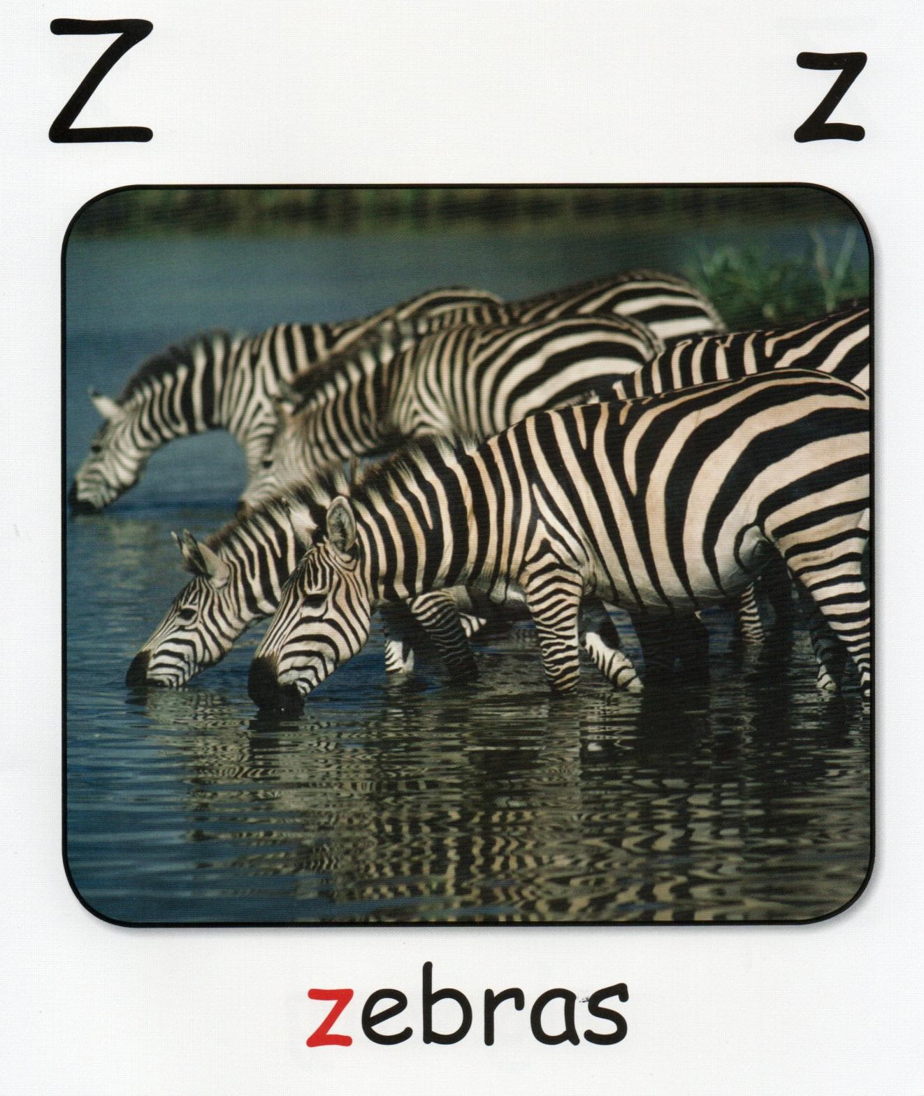 Z