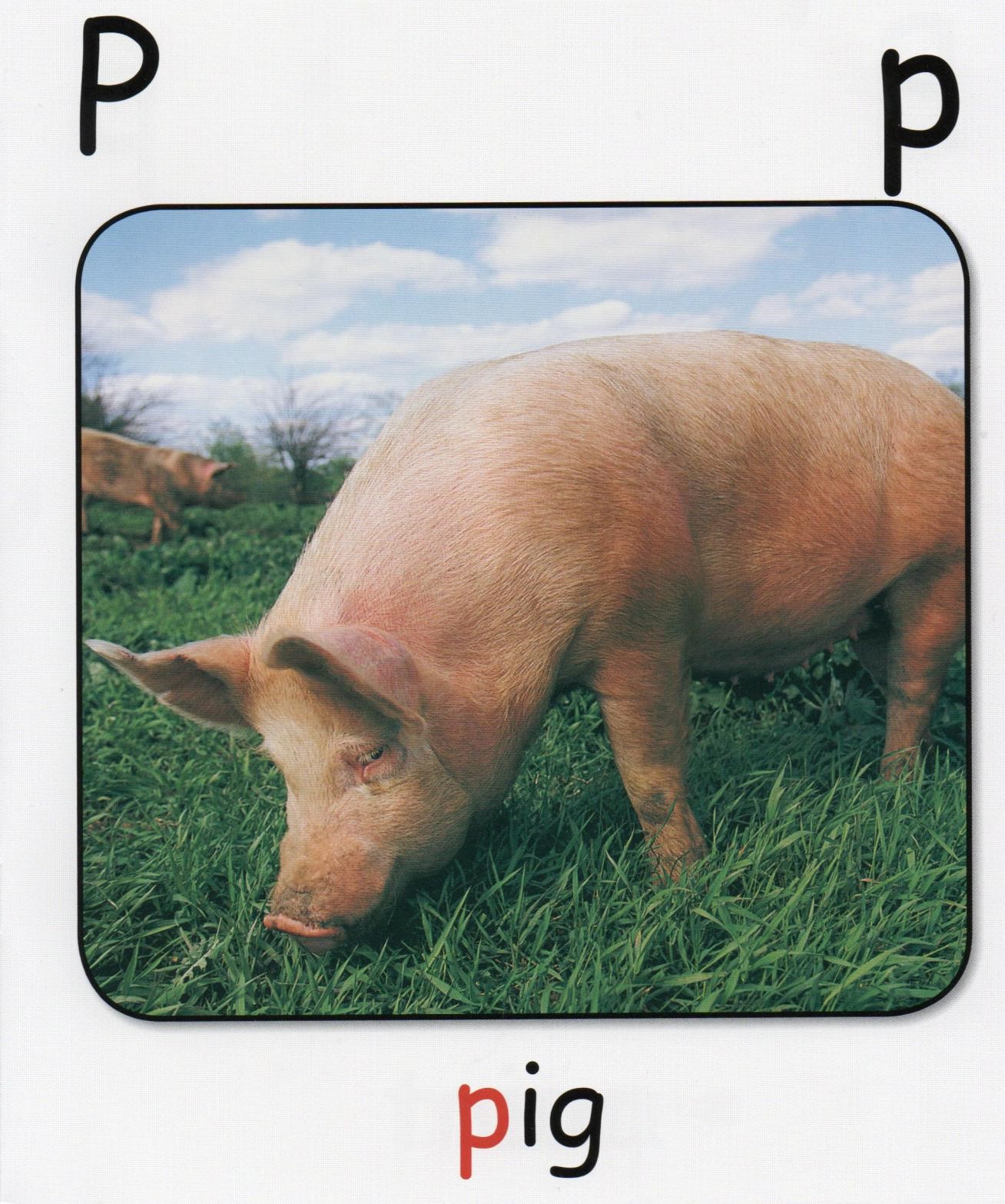 P