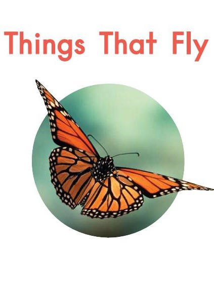 things that fly